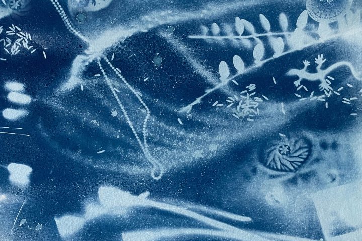 eine Cyanotypie von Irmgard Hofmann